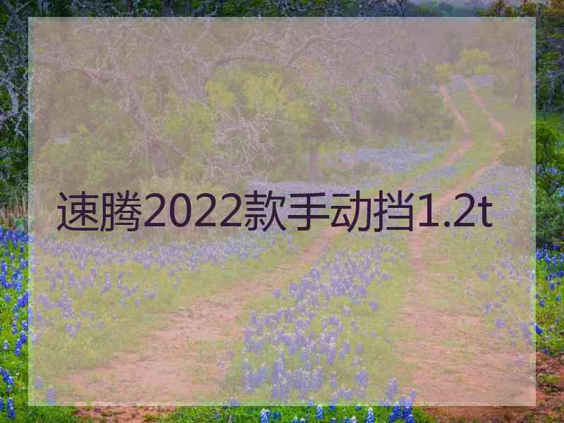 速腾2022款手动挡1.2t