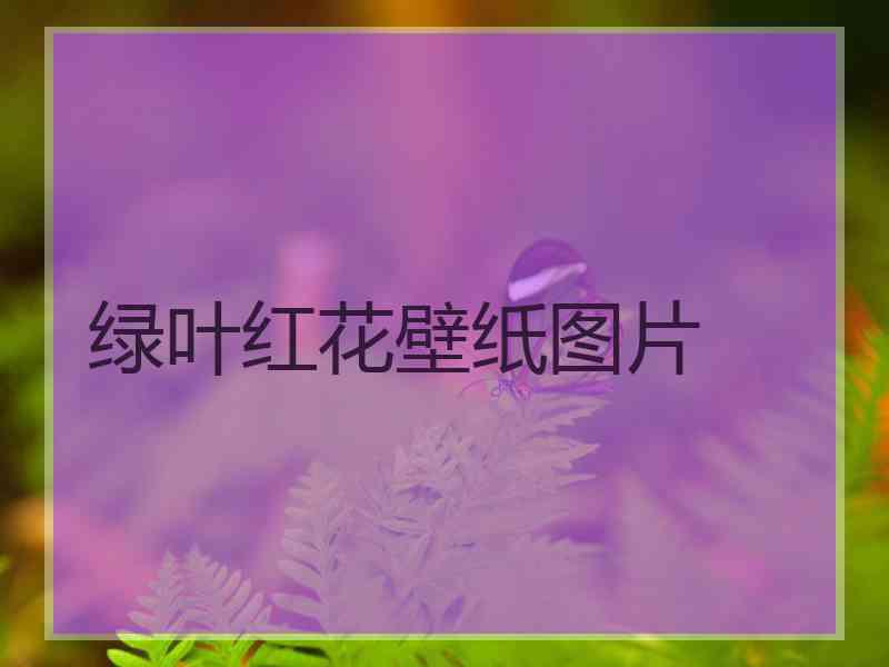 绿叶红花壁纸图片