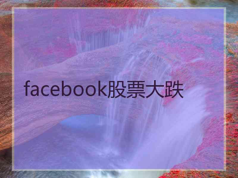 facebook股票大跌