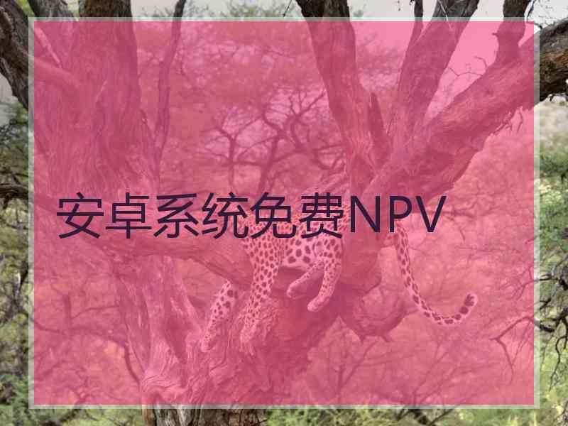 安卓系统免费NPV