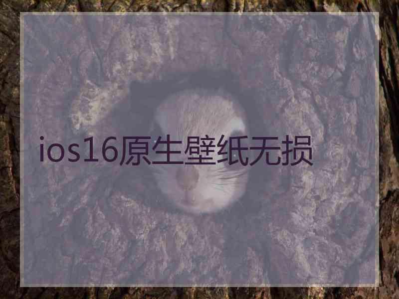 ios16原生壁纸无损