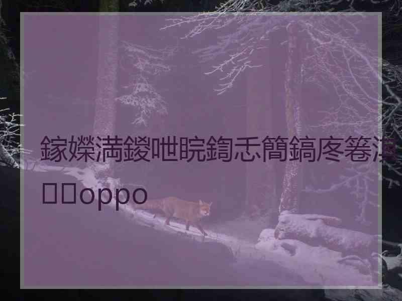 鎵嬫満鍐呭睆鍧忎簡鎬庝箞淇oppo