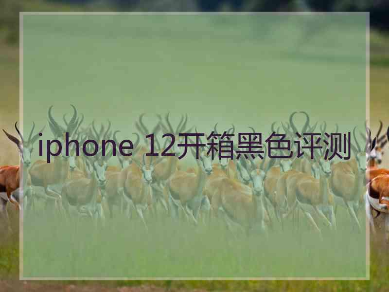 iphone 12开箱黑色评测