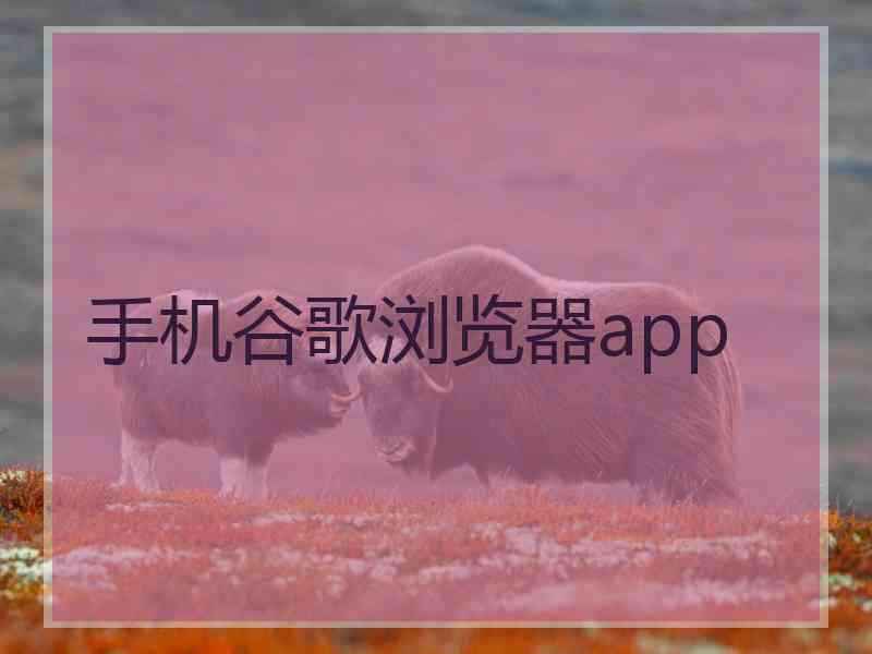 手机谷歌浏览器app