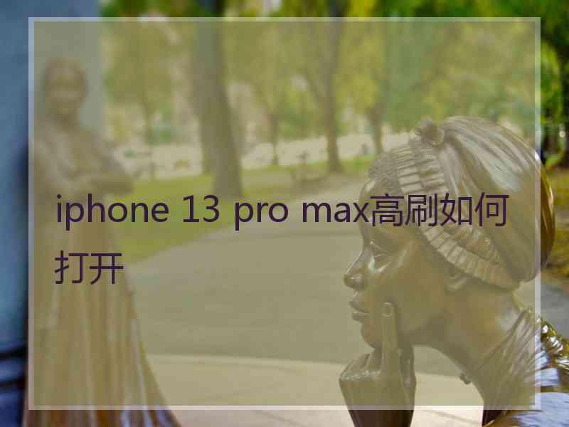 iphone 13 pro max高刷如何打开