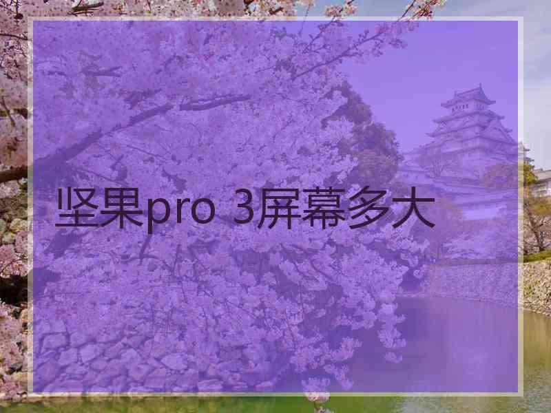 坚果pro 3屏幕多大