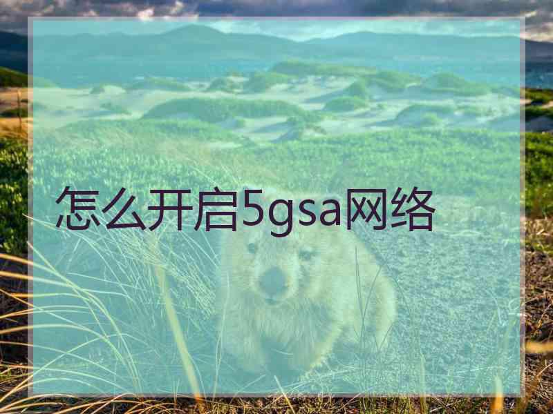 怎么开启5gsa网络