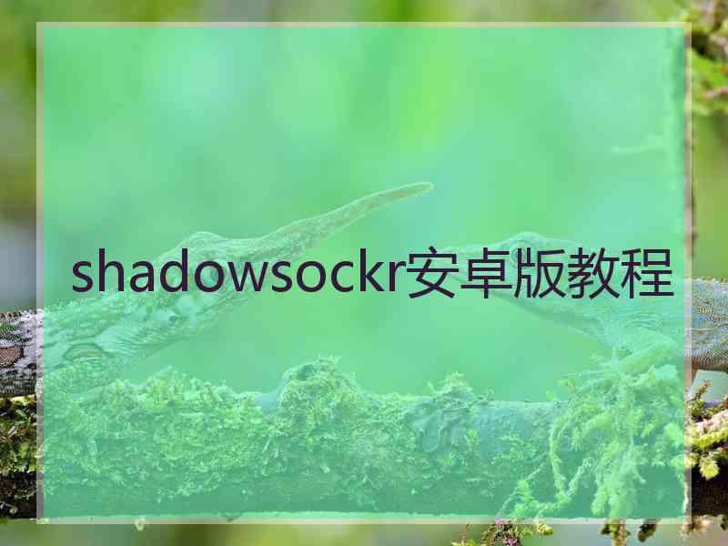 shadowsockr安卓版教程