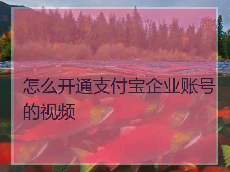 怎么开通支付宝企业账号的视频