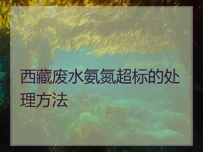 西藏废水氨氮超标的处理方法