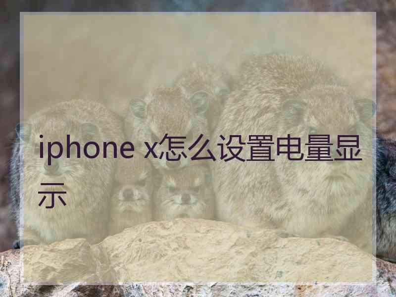 iphone x怎么设置电量显示