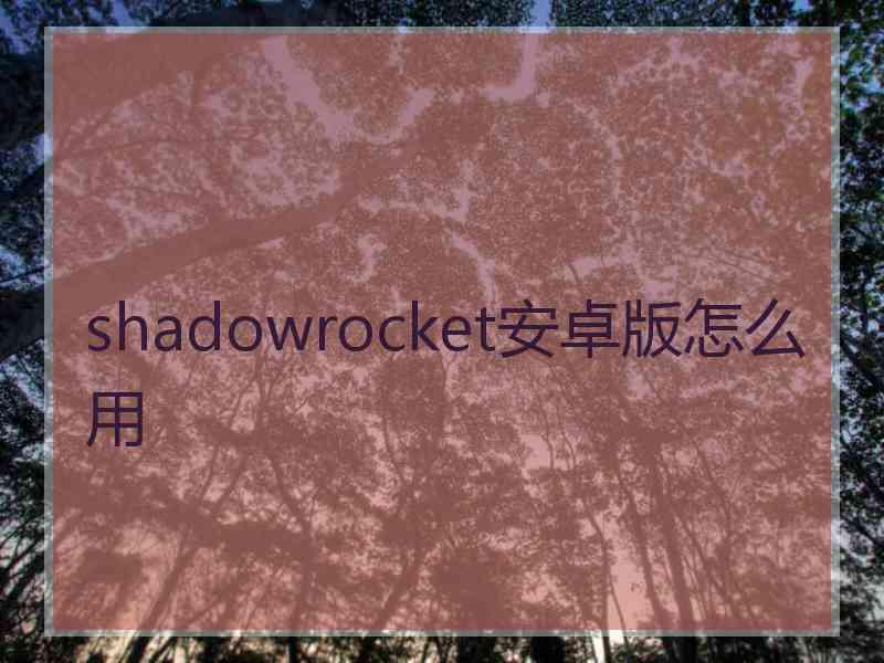 shadowrocket安卓版怎么用