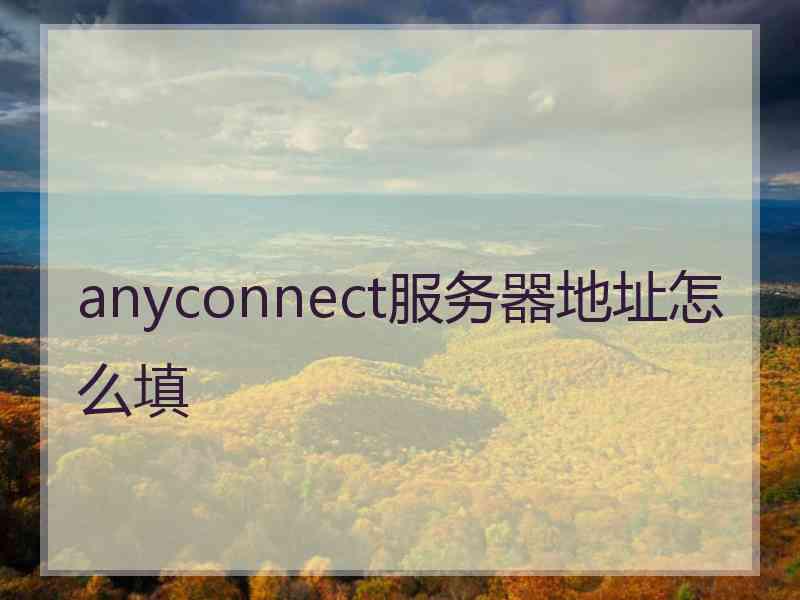 anyconnect服务器地址怎么填