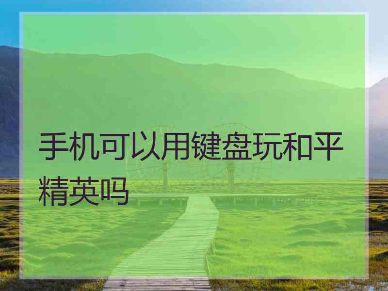 手机可以用键盘玩和平精英吗