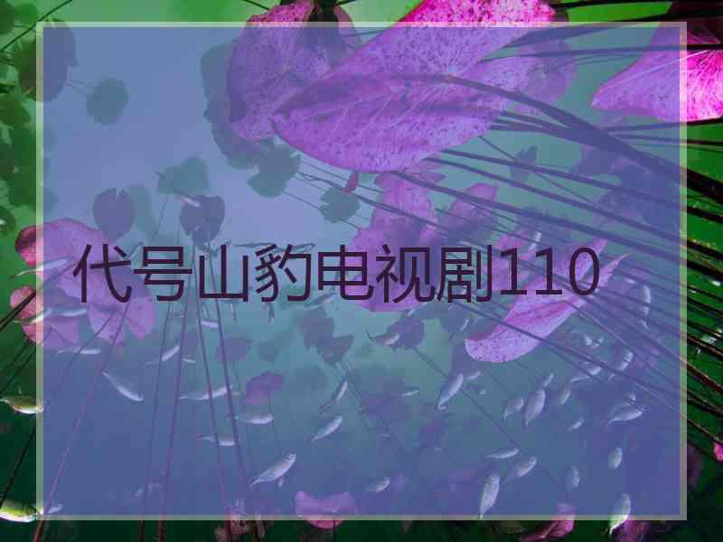 代号山豹电视剧110