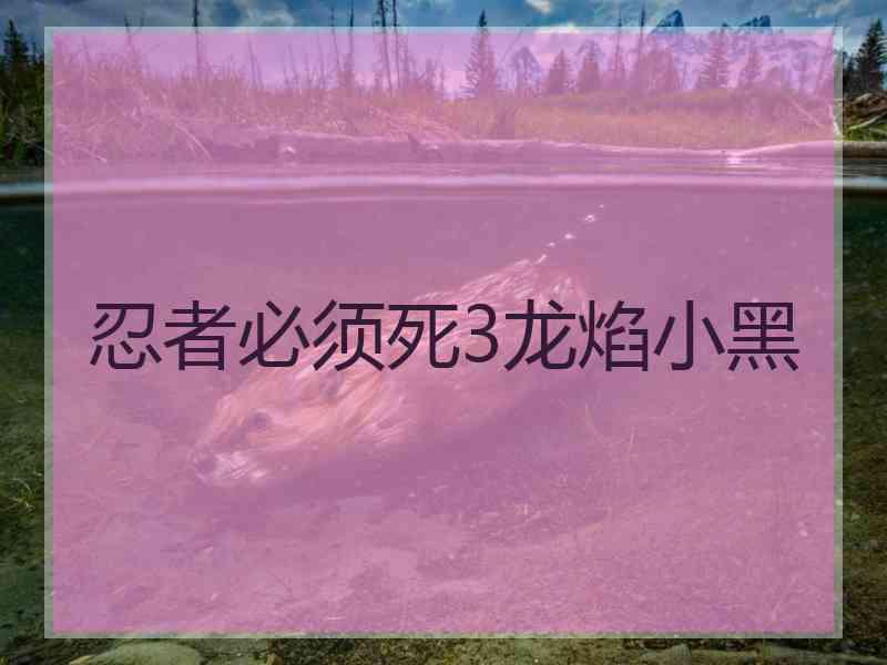 忍者必须死3龙焰小黑