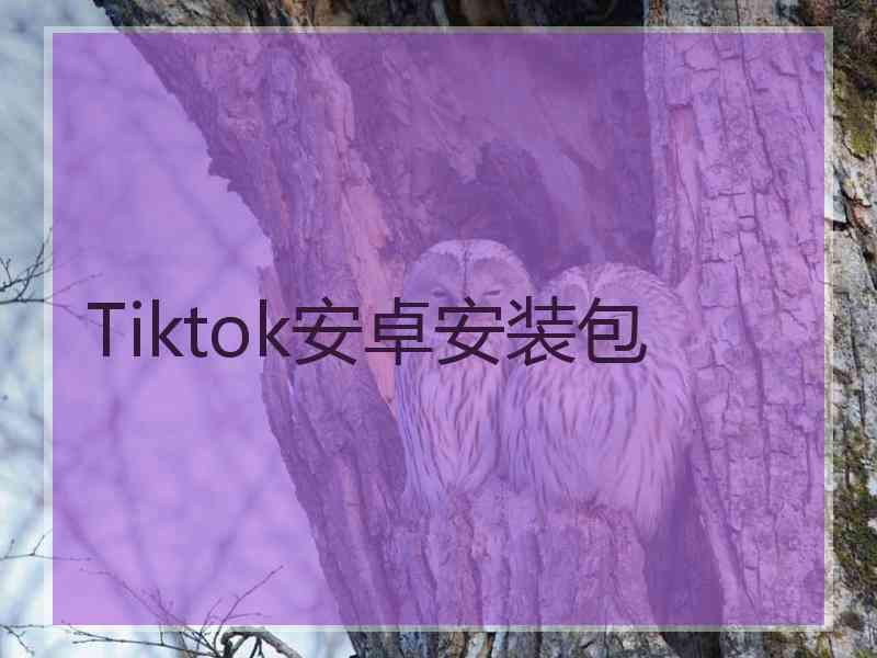 Tiktok安卓安装包