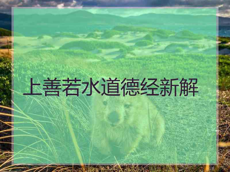 上善若水道德经新解