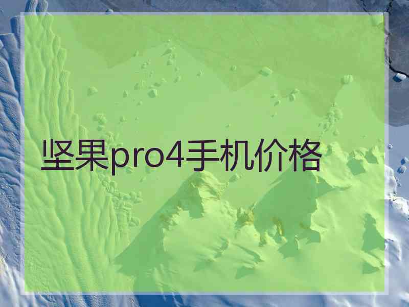 坚果pro4手机价格