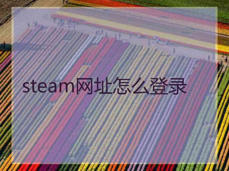 steam网址怎么登录