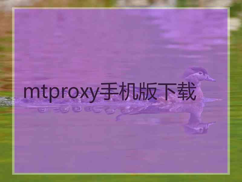 mtproxy手机版下载