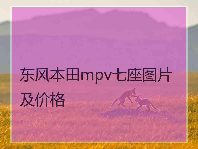 东风本田mpv七座图片及价格