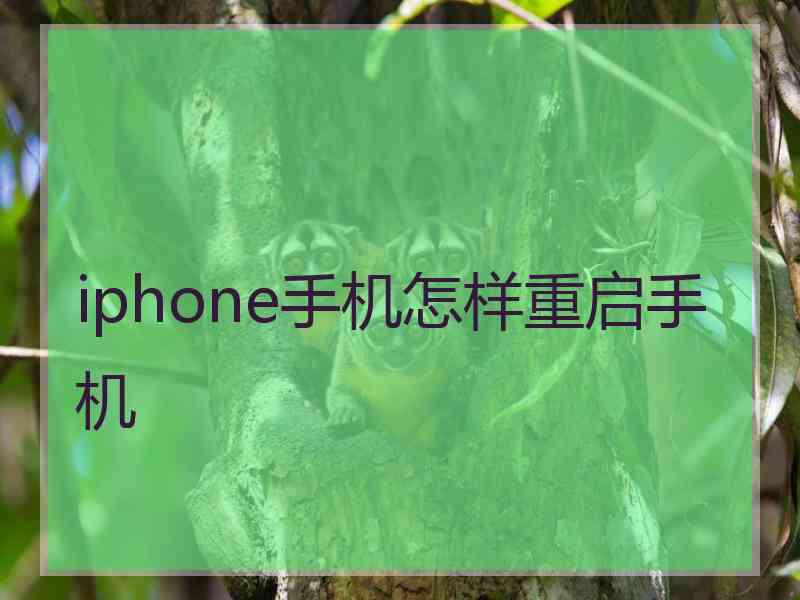 iphone手机怎样重启手机