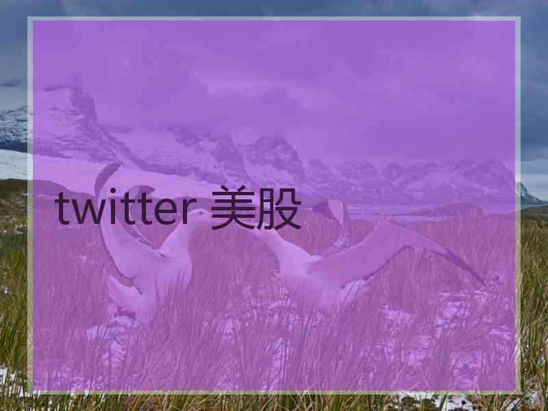 twitter 美股