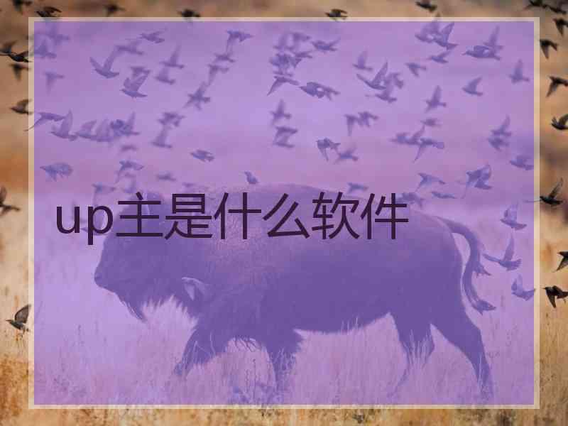 up主是什么软件