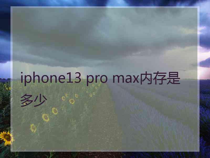 iphone13 pro max内存是多少