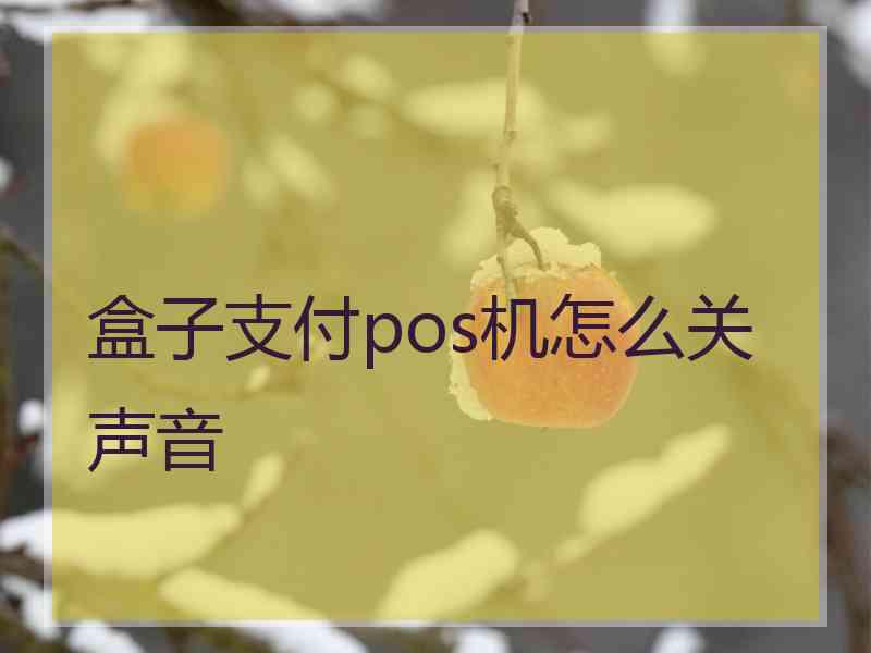 盒子支付pos机怎么关声音