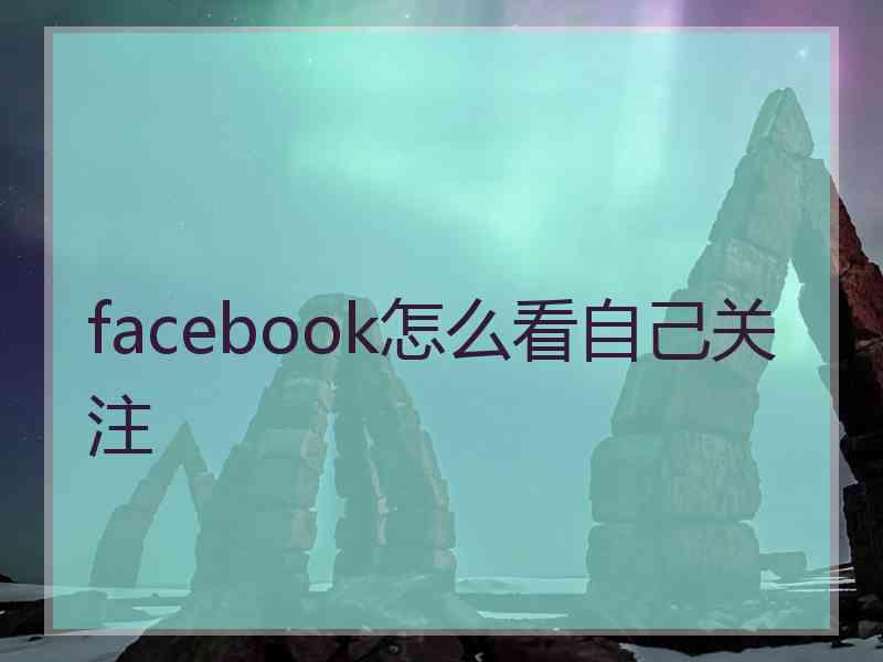 facebook怎么看自己关注