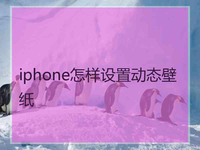 iphone怎样设置动态壁纸