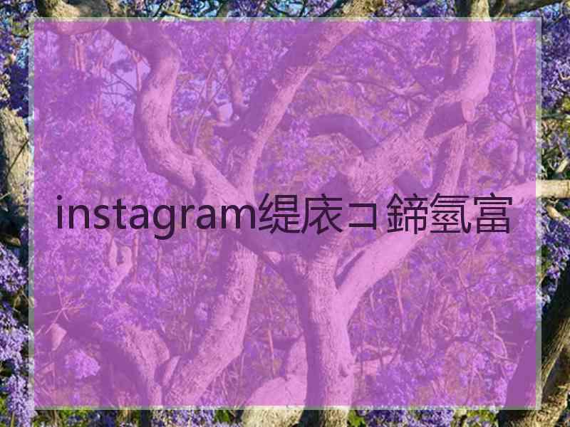 instagram缇庡コ鍗氫富