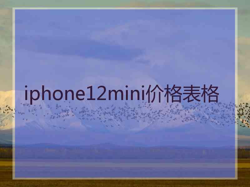 iphone12mini价格表格