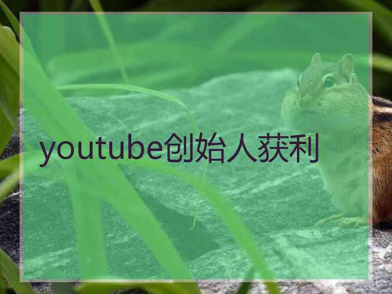 youtube创始人获利