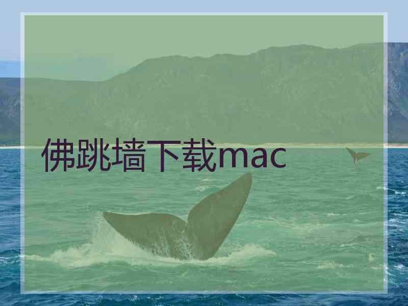 佛跳墙下载mac