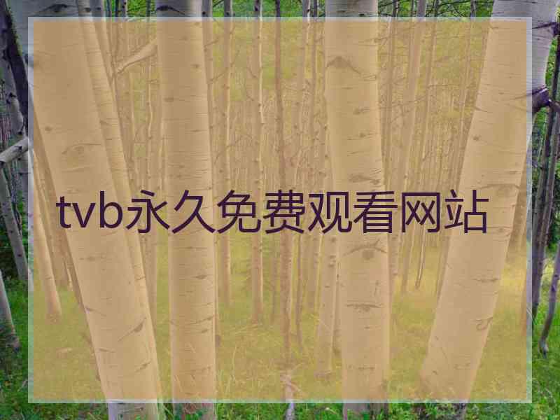 tvb永久免费观看网站