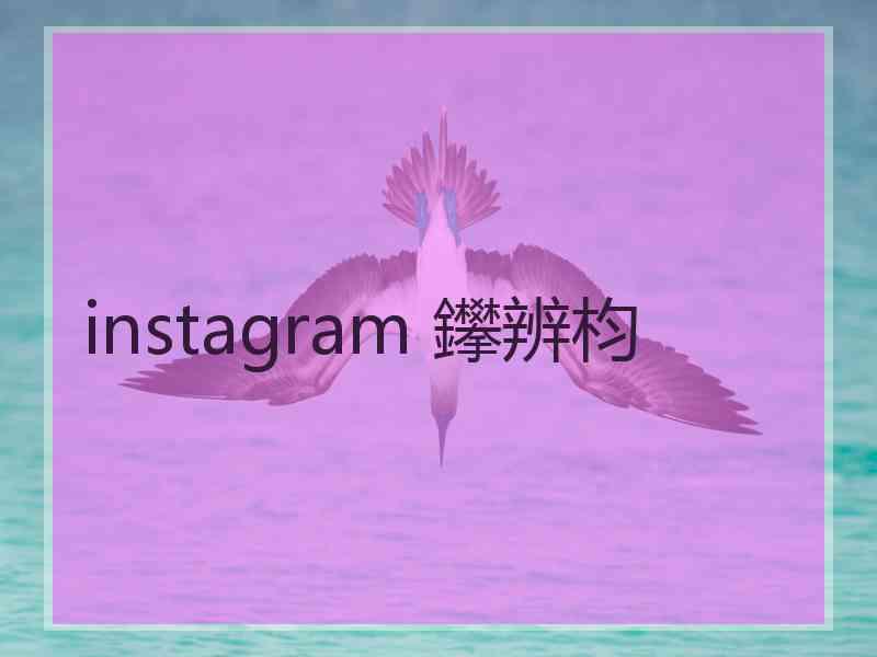 instagram 鑻辨枃