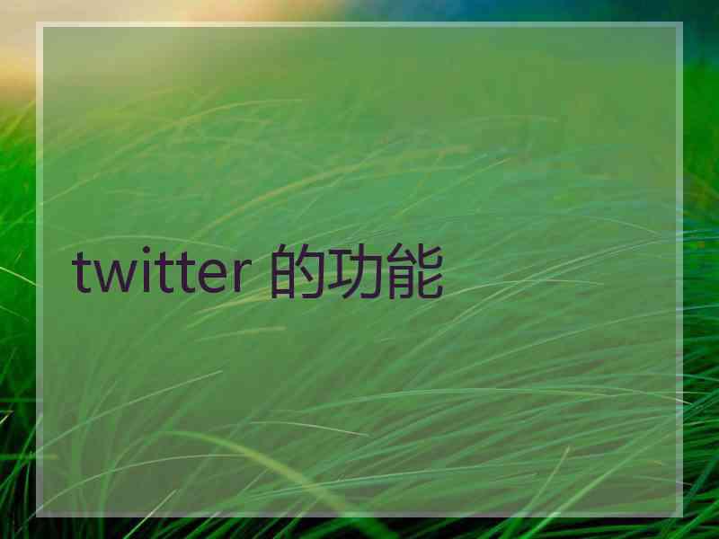 twitter 的功能