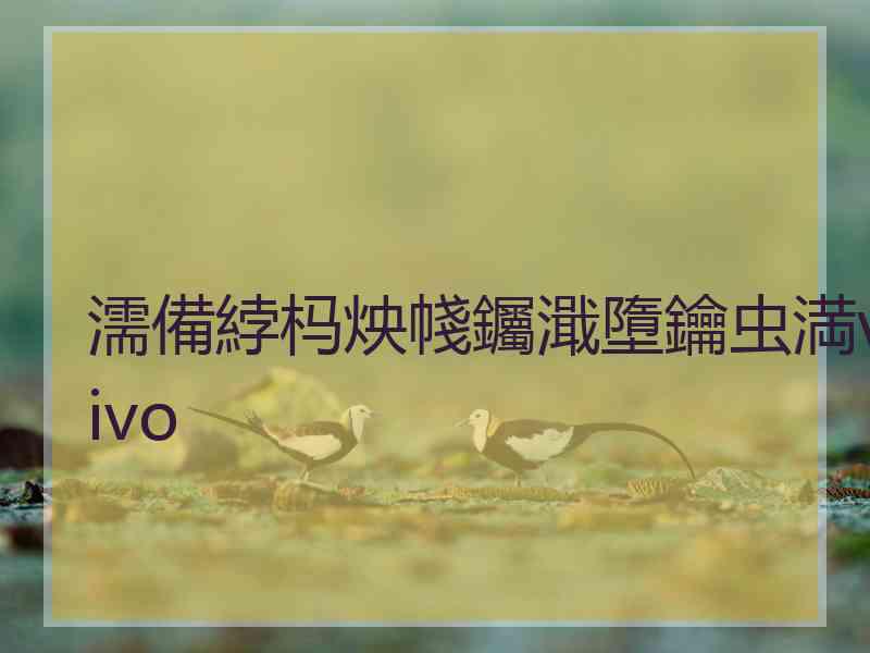 濡備綍杩炴帴钃濈墮鑰虫満vivo