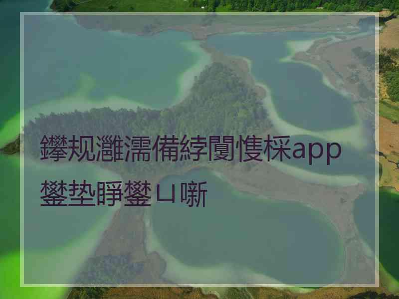 鑻规灉濡備綍闅愯棌app鐢垫睜鐢ㄩ噺