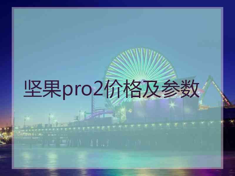 坚果pro2价格及参数