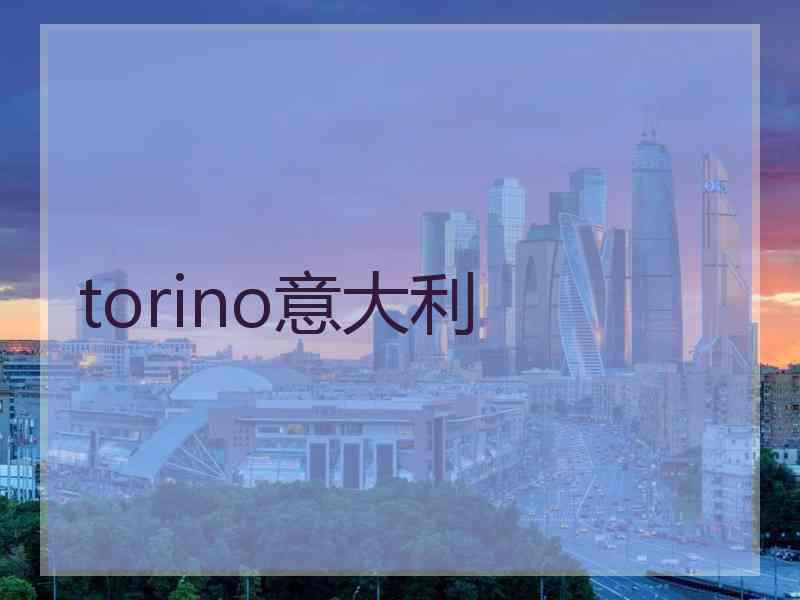 torino意大利