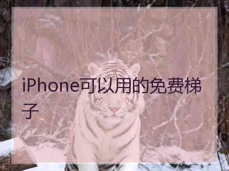 iPhone可以用的免费梯子