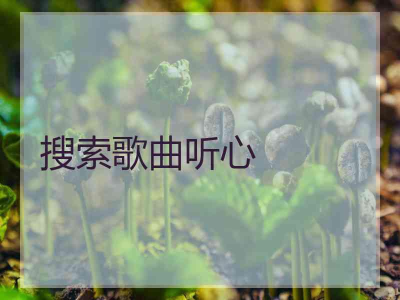 搜索歌曲听心