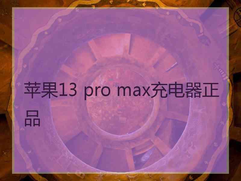 苹果13 pro max充电器正品