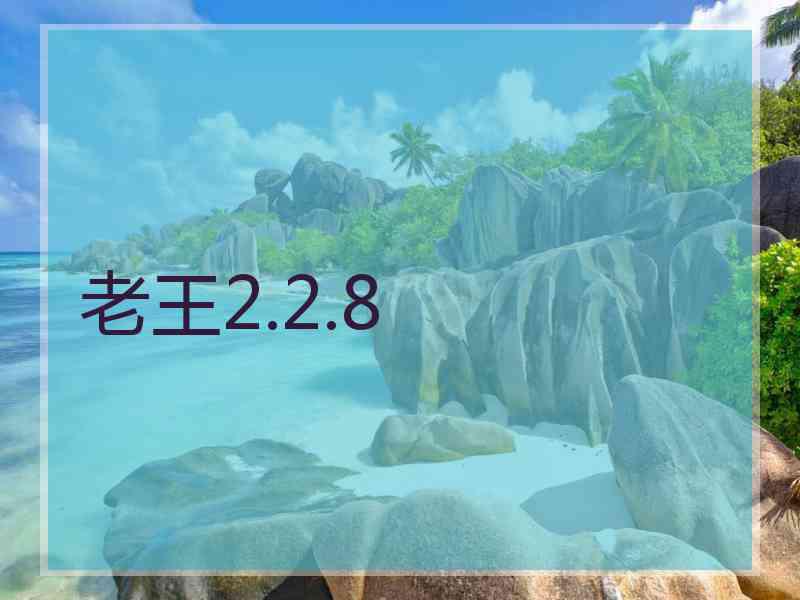 老王2.2.8