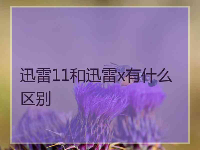 迅雷11和迅雷x有什么区别