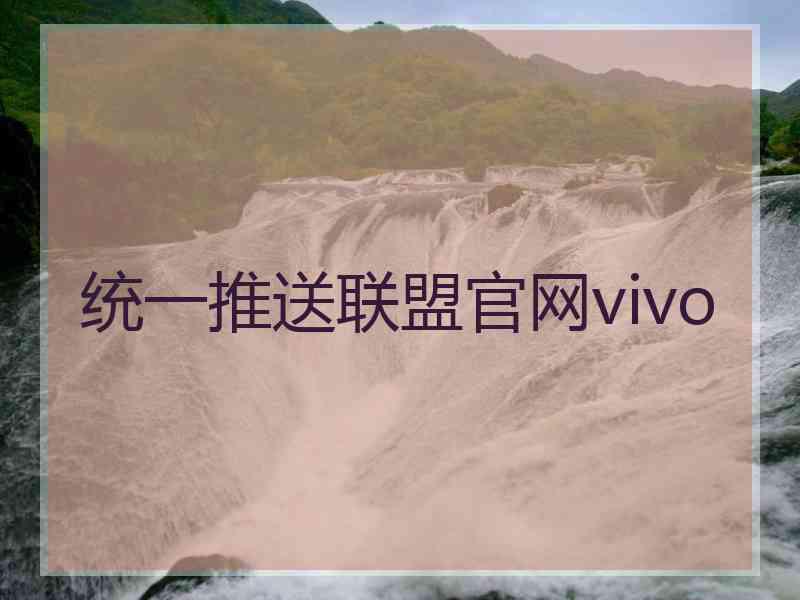 统一推送联盟官网vivo